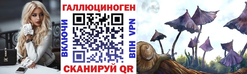 Псилоцибиновые грибы Psilocybine cubensis Чердынь